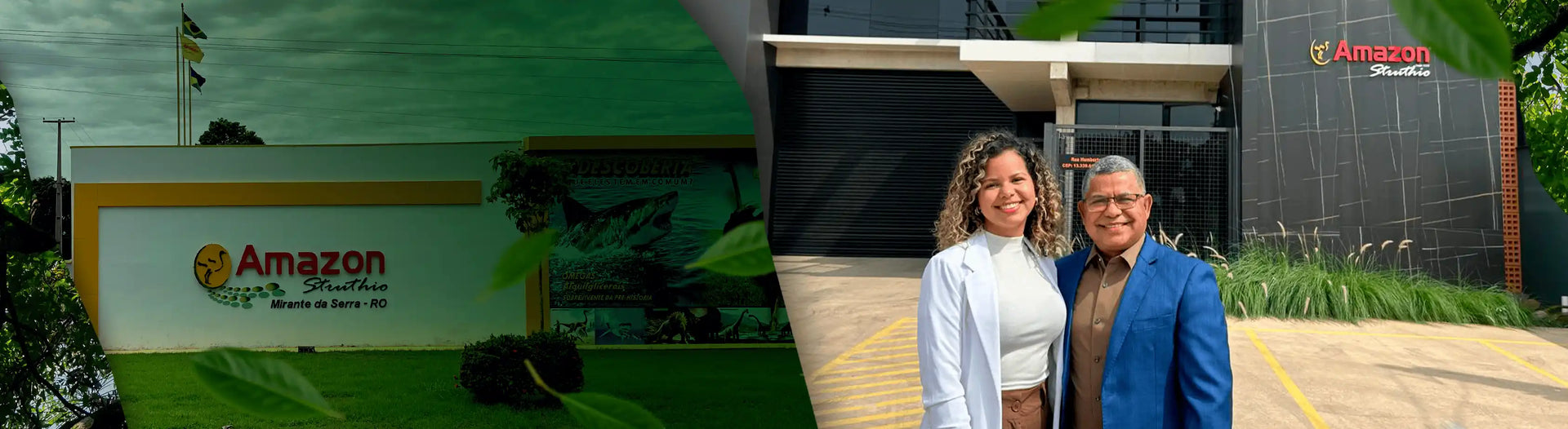 Seja um distribuidor